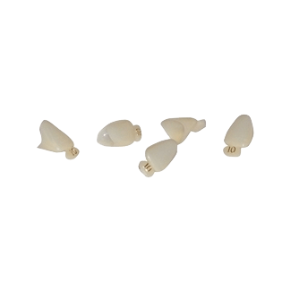 Polycarbonate Crowns image