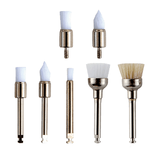 Prophy Brushes image