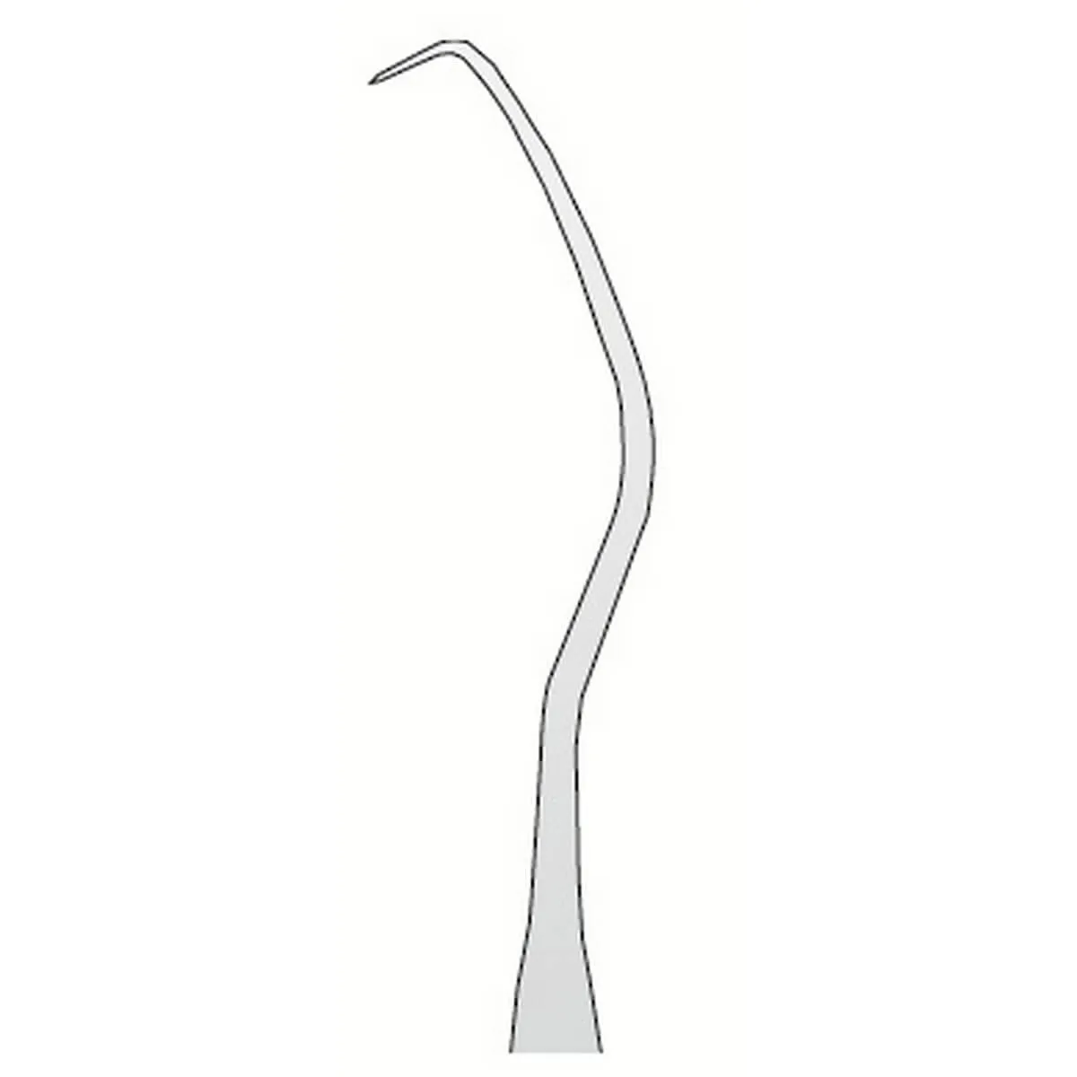 Explorer Anatomic N.17