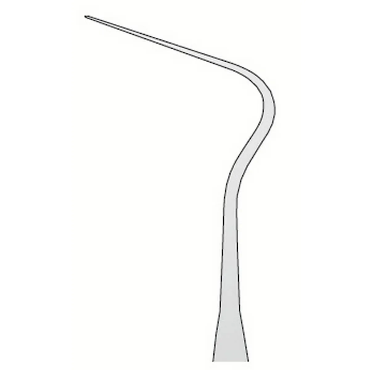 Explorer Anatomic N.8A