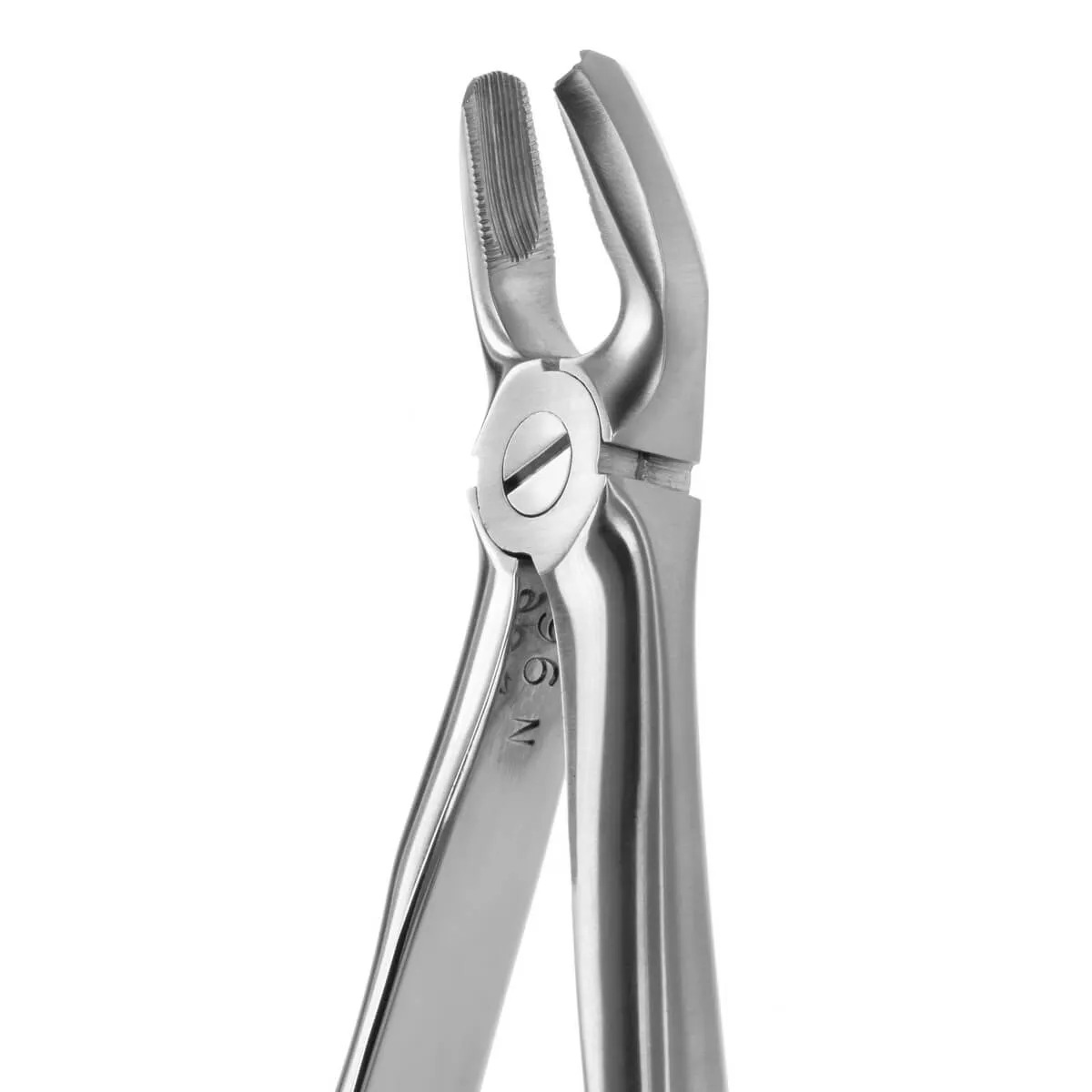 Tooth Forceps Blade Beaks N.18