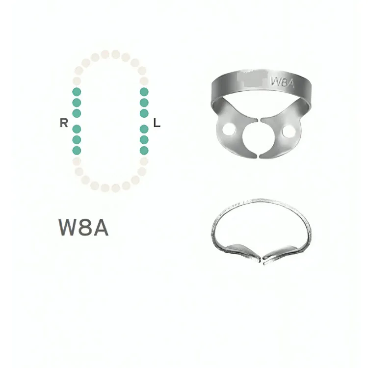 Rubber Dam Clamp #W8A, Wingless for Upper & Lower Molars