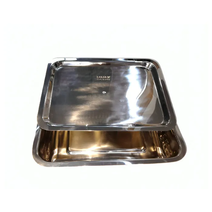 Instrument Tray with Lid, 255 x 165 x 50 mm