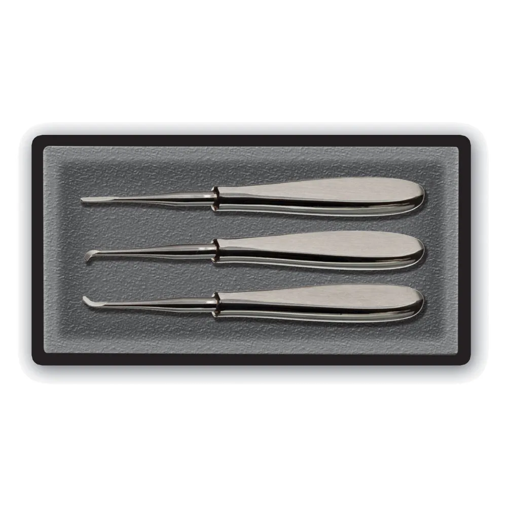 Dental Elevator Set, Warwick James, 3 Pcs