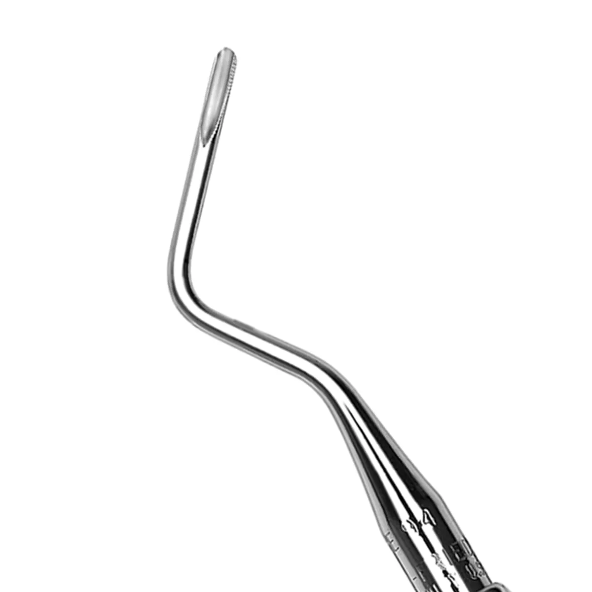 Root Tip Pick #94