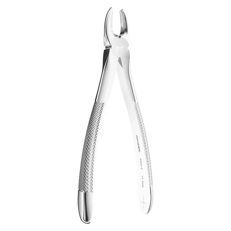 Extracting Forceps N. 2, 18cm