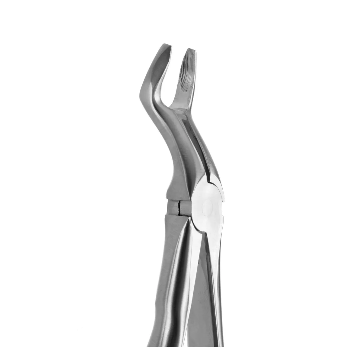 Tooth Forceps 3rd Molar
