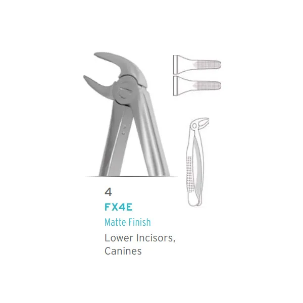 European Style Forceps #4