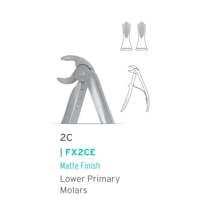 European Style Extraction Forceps #2C