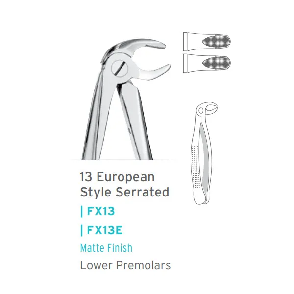 European Style Extraction Forceps #13