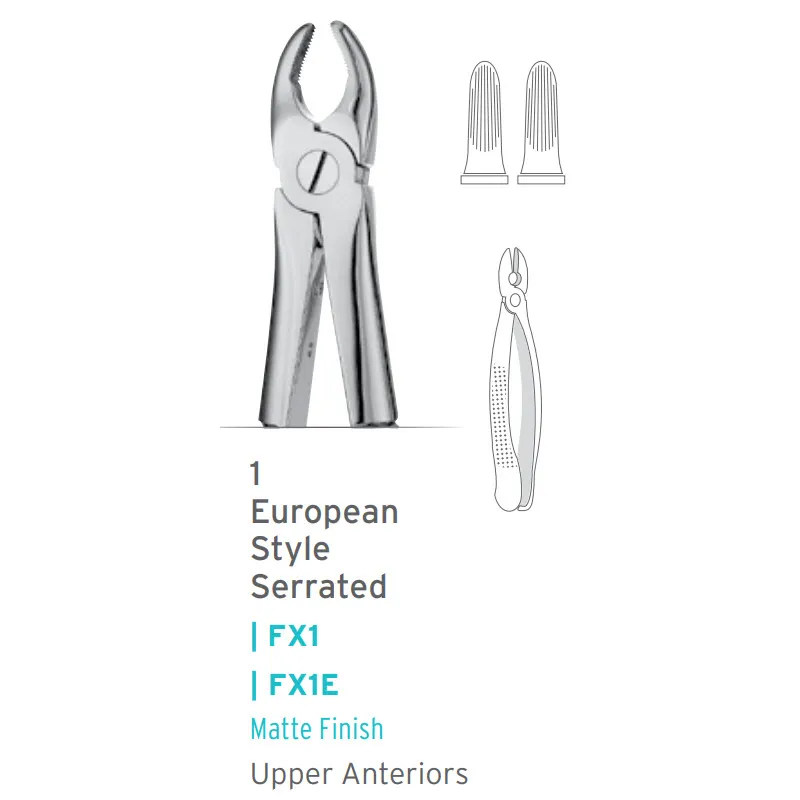 European Style Forceps #1