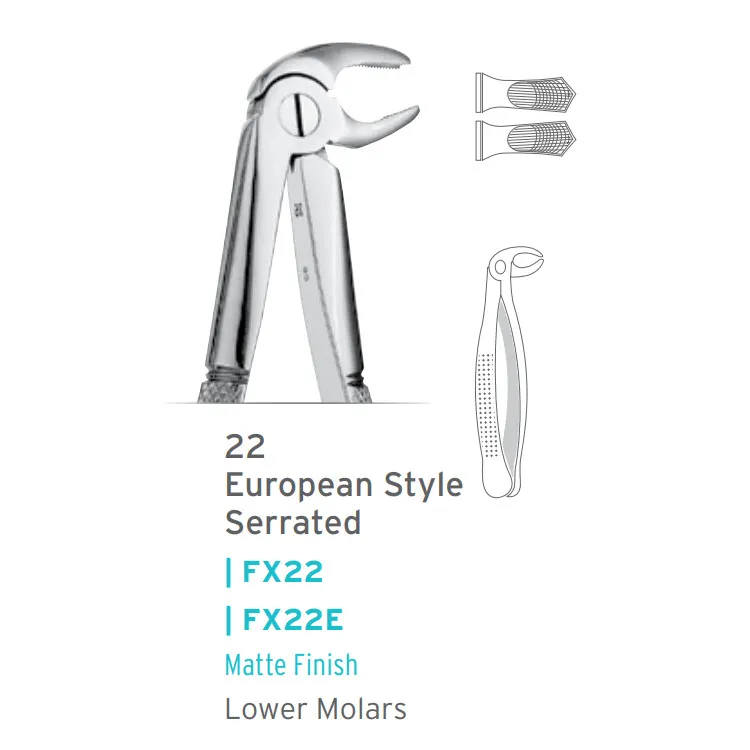 European Style Forceps #22