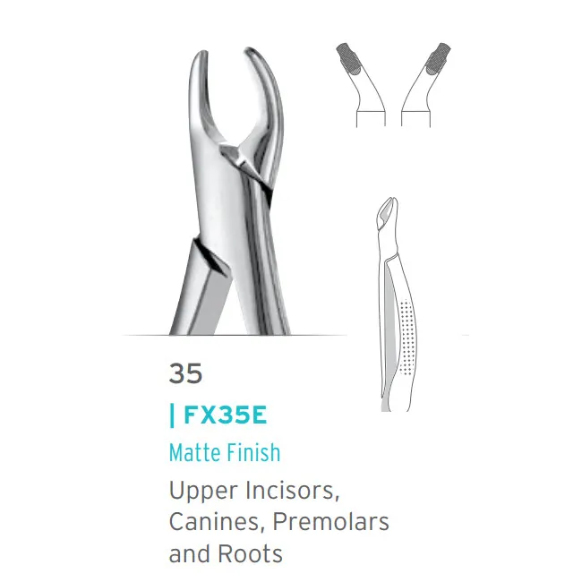 European Style Forceps #35