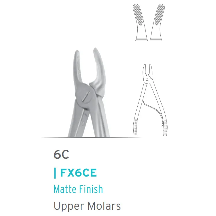 European Style Pedo Forceps #6C