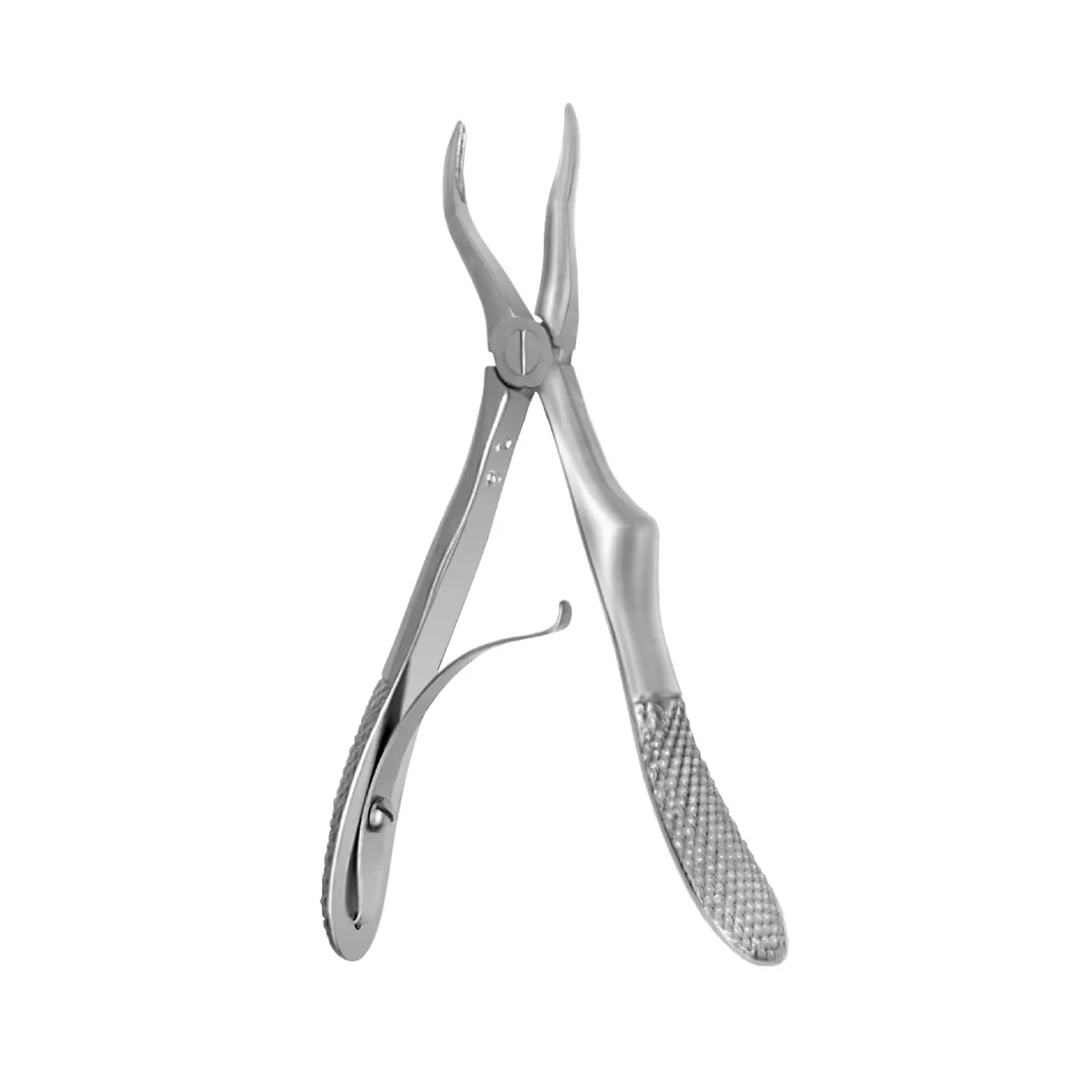 European Pedo Forceps #7C