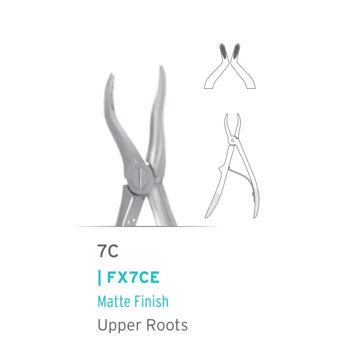 European Pedo Forceps #7C