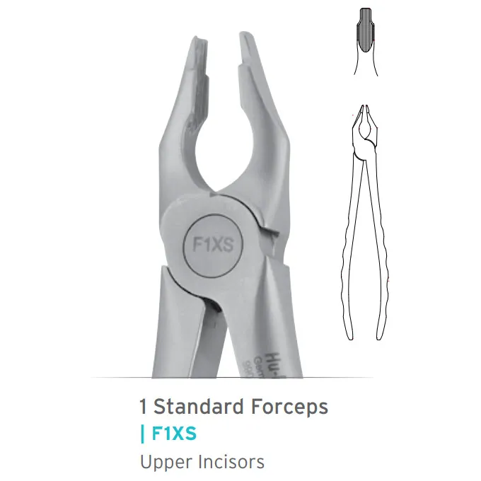 Upper Incisors Forceps #1 Atraumair