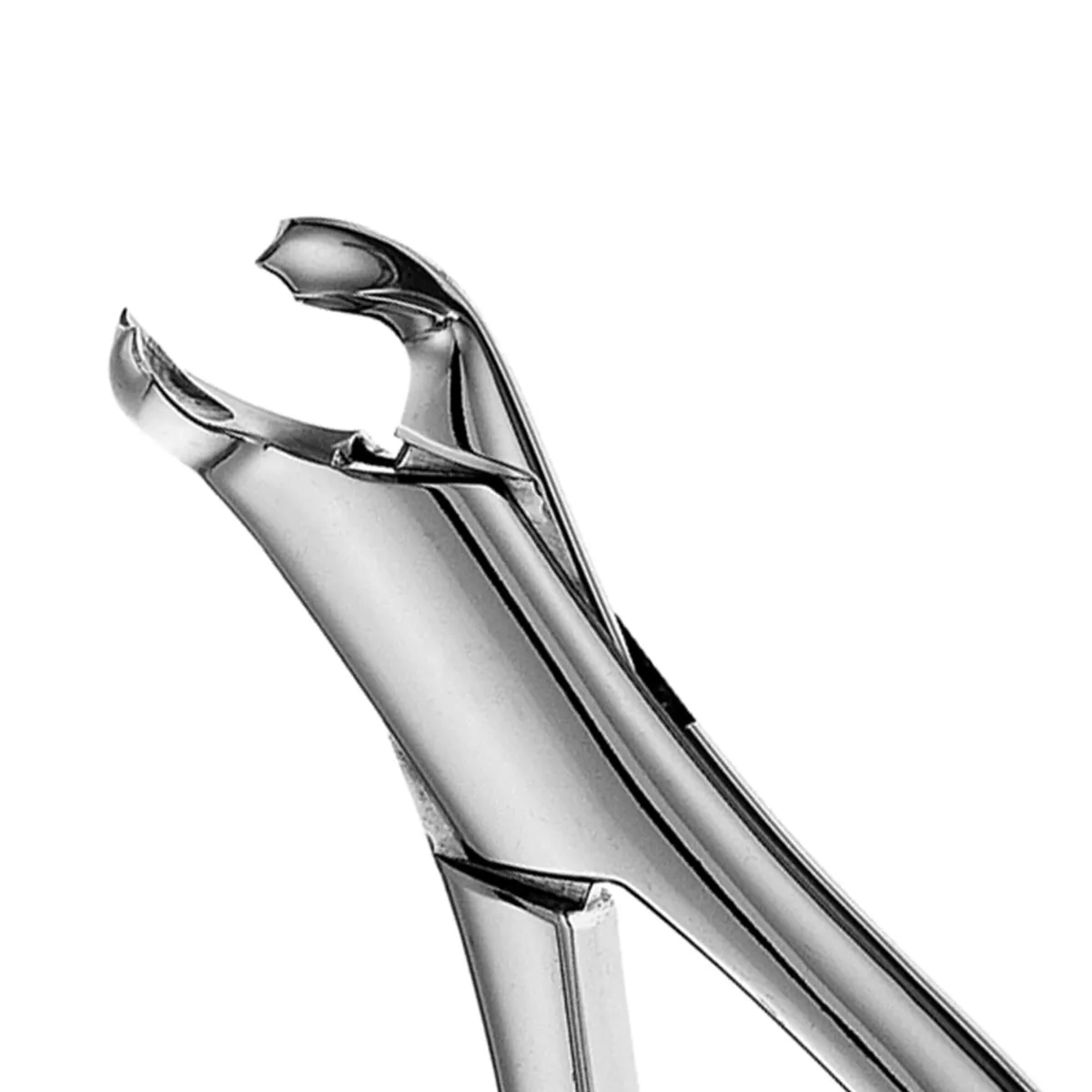 Pedo Lower Molars Forceps #40