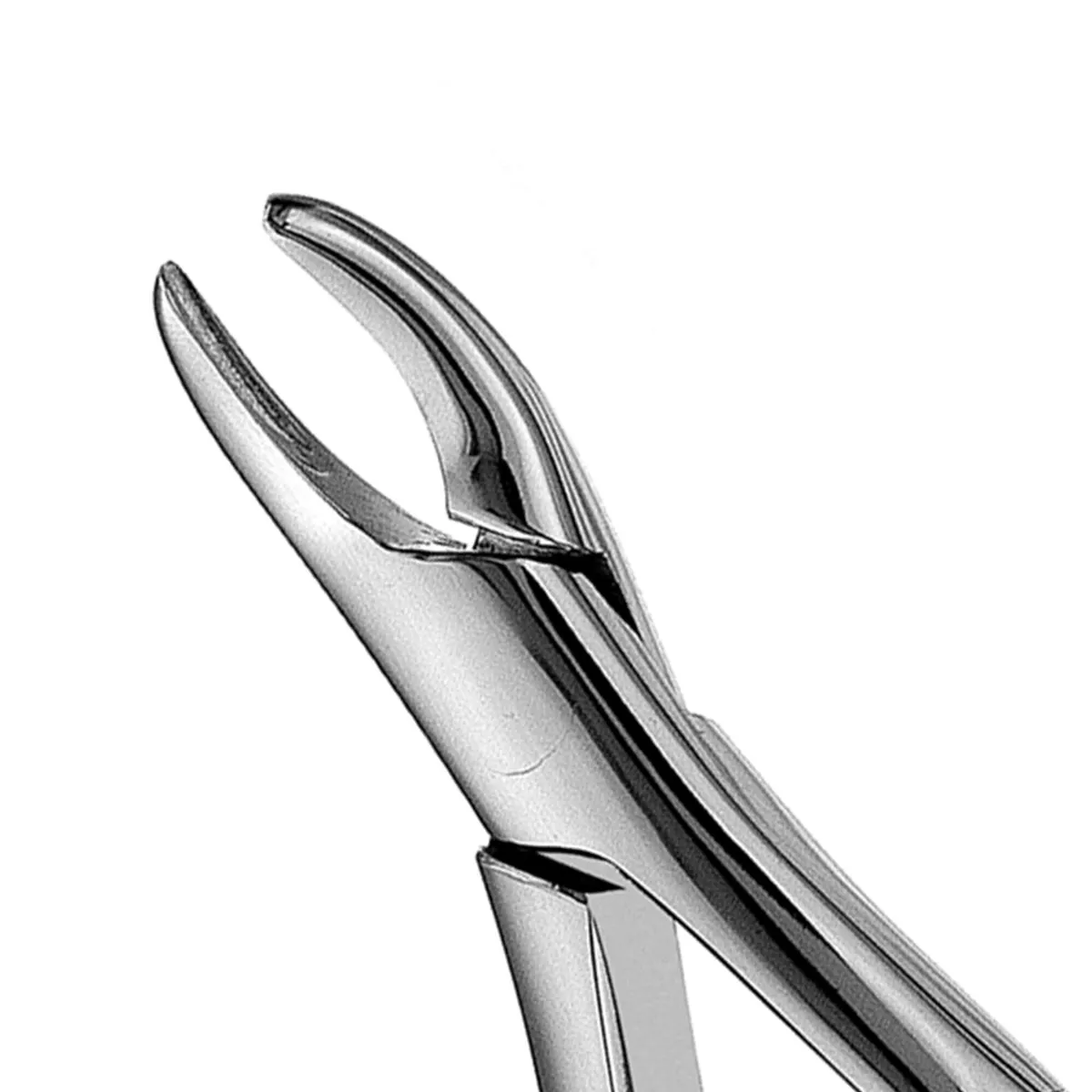 Pedo Extraction Forceps #150S