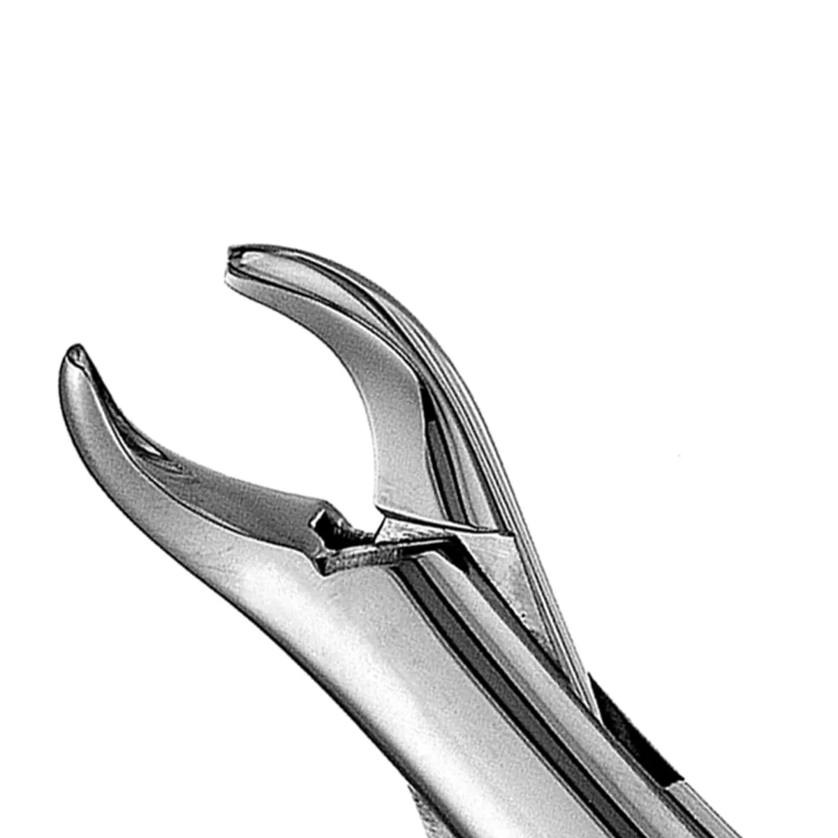 Pedo Extraction Forceps #151K