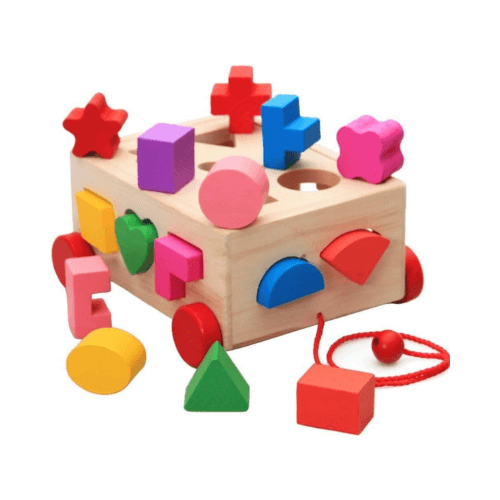 Wooden Cognitive Test Box