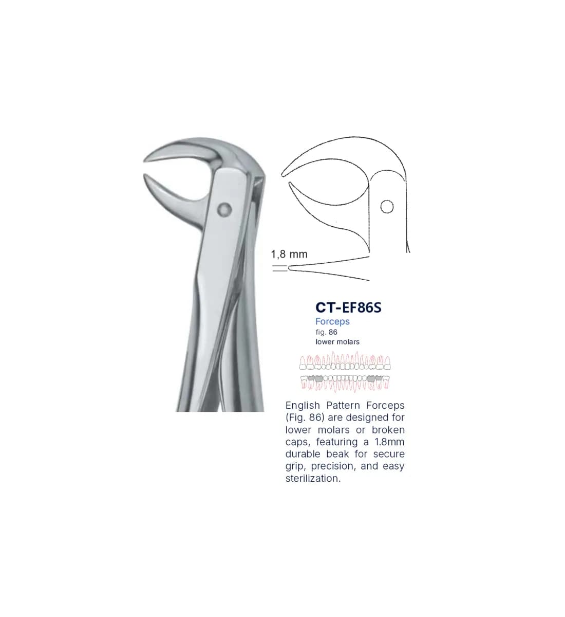Dental Extraction Forceps 86, Standard Handle