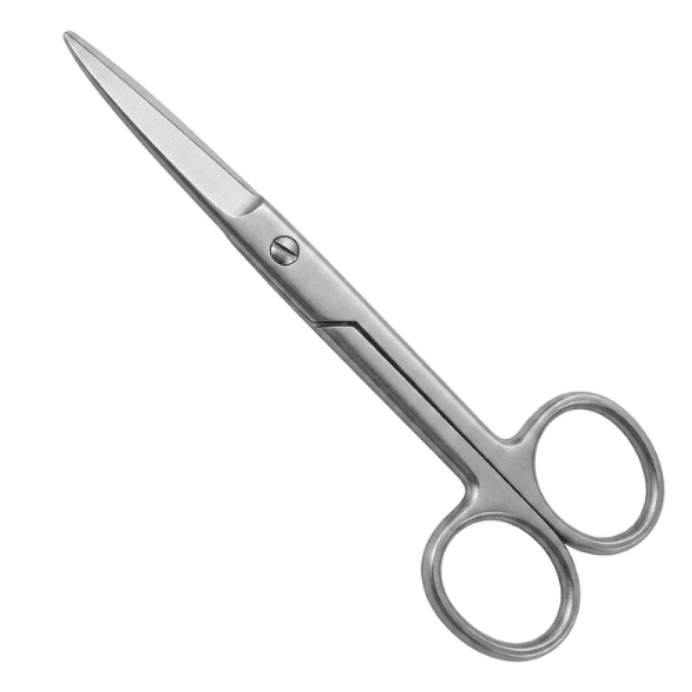 Surgical Scissors, Stainless Steel, Medium