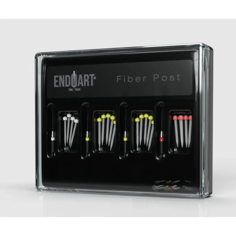 Endo Art Fiber Post Assorted (20 Pack)