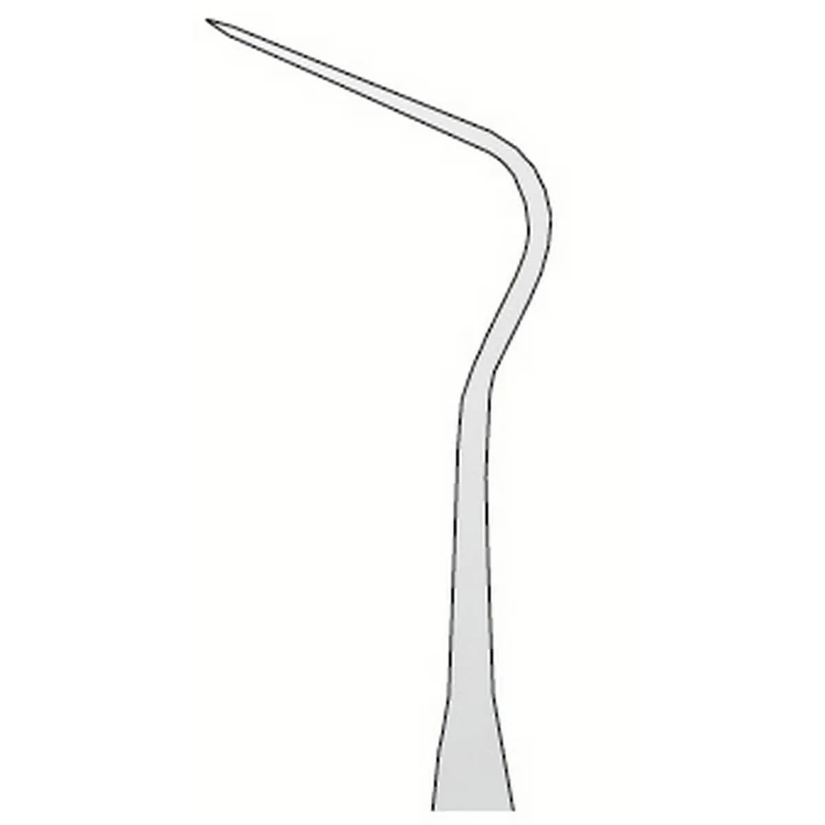Explorer Anatomic N.12