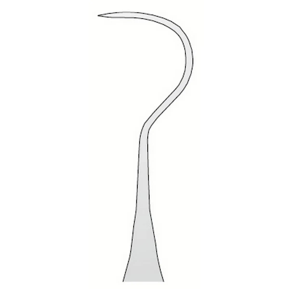 مسبار تشريحي N.23