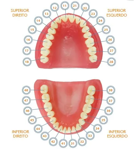 Pronew Student Tooth Refill، UL3/23، الناب