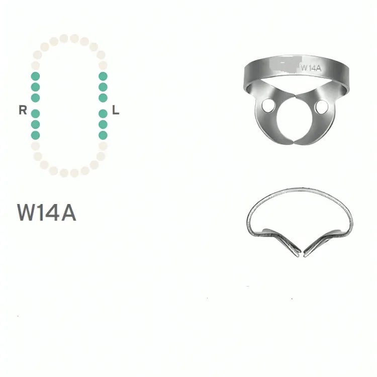 مشبك حاجز مطاطي #W14A، بدون أجنحة للأضراس الجزئية البزوغ أو غير المنتظمة