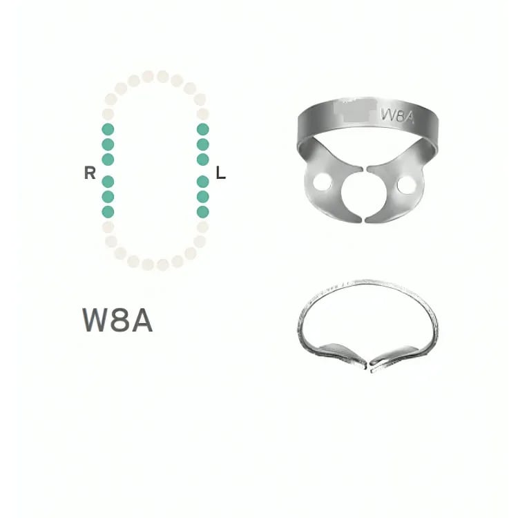 مشبك حاجز مطاطي #W8A، بدون أجنحة للأضراس العلوية والسفلية