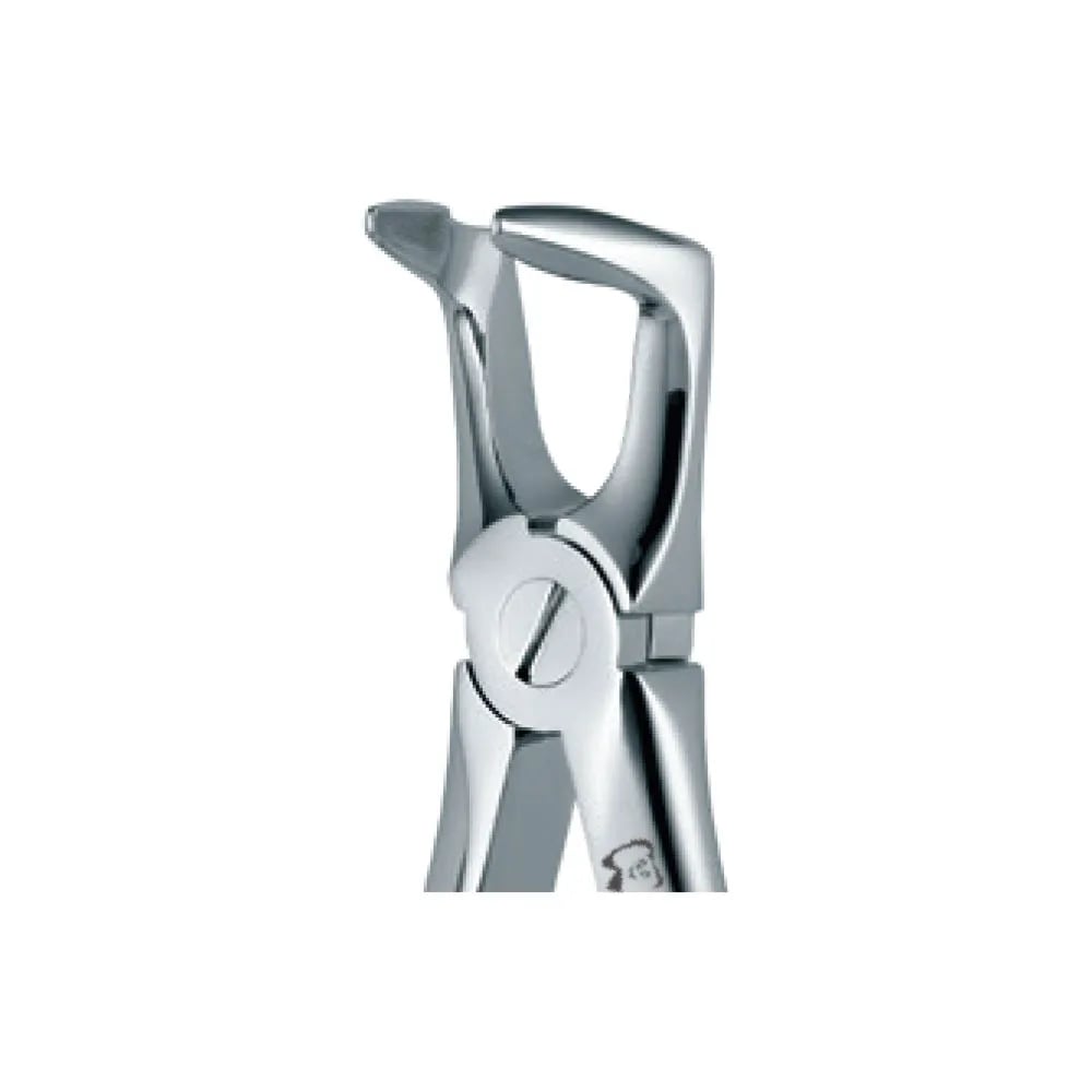 Dental Extraction Forceps 46N, Standard Handle