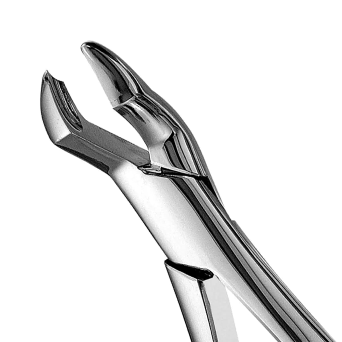 كلابة أضراس علوية #53L مدببة يسار