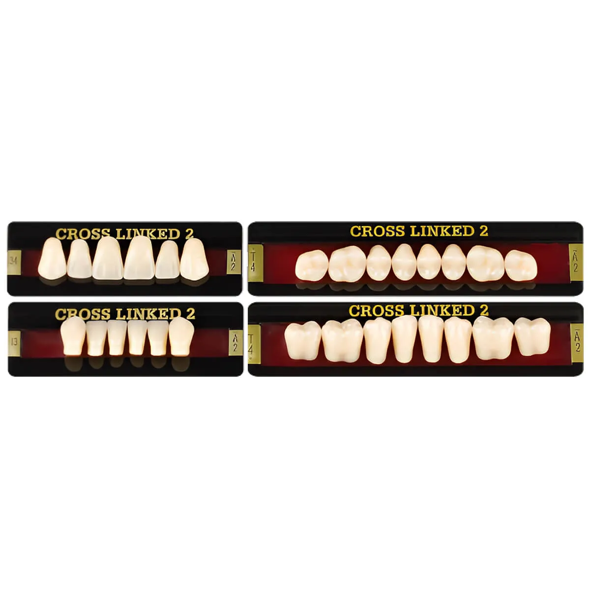 Cross Linked 2 Acrylic Teeth, A1 - L
